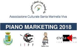 PIANO MARKETING 2018 Associazione Culturale Santa Marinella Viva