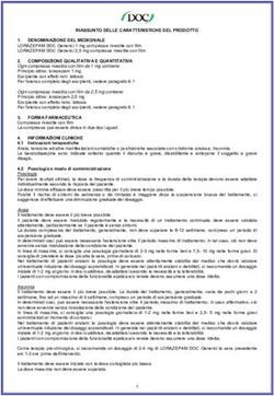 RIASSUNTO DELLE CARATTERISTICHE DEL PRODOTTO