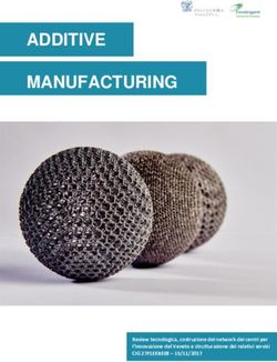 ADDITIVE MANUFACTURING - Review tecnologica, costruzione del network dei centri per l'innovazione del Veneto e strutturazione dei relativi servizi ...