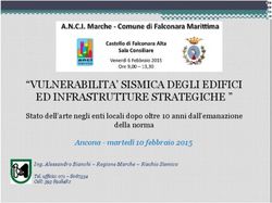 VULNERABILITA' SISMICA DEGLI EDIFICI ED INFRASTRUTTURE STRATEGICHE