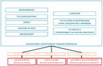 DIPARTIMENTO DI SCIENZE FARMACOLOGICHE E BIOMOLECOLARI - Referente per il progetto Prof. Giorgio Racagni - DISFEB