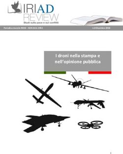 I droni nella stampa e nell'opinione pubblica - Archivio Disarmo