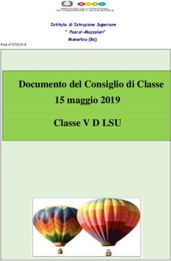 Documento del Consiglio di Classe 15 maggio 2019 Classe V D LSU - Istituto di Istruzione Superiore " Pascal-Mazzolari" Manerbio (Bs)