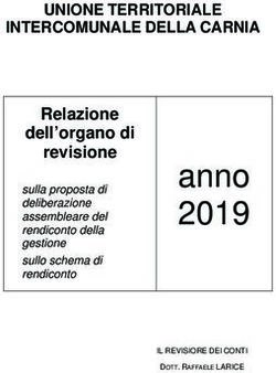 Anno 2019 Relazione dell'organo di revisione - UNIONE TERRITORIALE INTERCOMUNALE DELLA CARNIA - Comunit&agrave; di montagna della Carnia