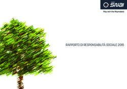 RAPPORTO DI RESPONSABILITÀ SOCIALE 2015 - SNAITECH