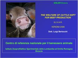 Centro di referenza nazionale per il benessere animale - THE WELFARE OF CATTLE KEPT FOR BEEF PRODUCTION