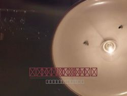 MOTHS TO FLAME PRESENTAZIONE - Merateonline