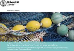 Scuola estiva "Net(work)s. Tra struttura e metafora"