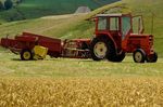 RAPPORTO ORIGINI E GARANZIE MATERIE PRIME AGRICOLE - Coop ...