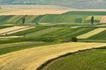 RAPPORTO ORIGINI E GARANZIE MATERIE PRIME AGRICOLE - Coop ...