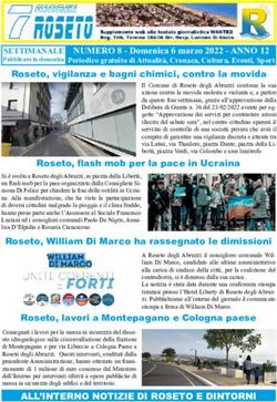 Roseto, vigilanza e bagni chimici, contro la movida