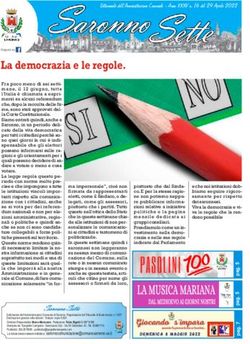 La democrazia e le regole - Comune Di ...