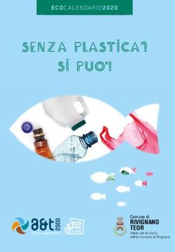 SENZA PLASTICA? si puo ! - RIVIGNANO TEOR Comune di - A&T 2000
