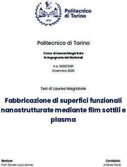 Fabbricazione di superfici funzionali nanostrutturate mediante film sottili e plasma - Politecnico di Torino