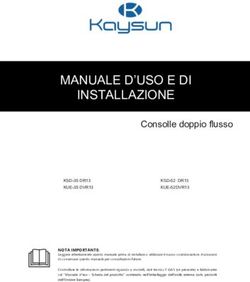 MANUALE D'USO E DI INSTALLAZIONE - Kaysun