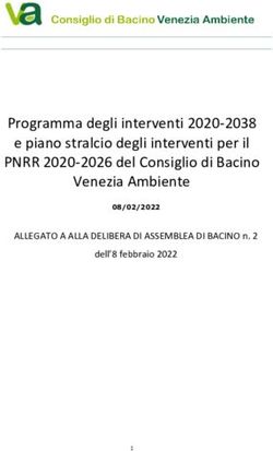 Programma degli interventi 2020-2038 e piano stralcio degli interventi per il PNRR 2020-2026 del Consiglio di Bacino Venezia Ambiente - ALLEGATO A ...