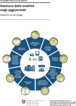 Gestione della mobilità negli agglomerati - Gestione dei parcheggi PROGRAMMA TRAFFICO D'AGGLOMERATO