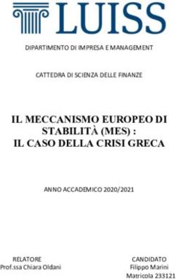 IL MECCANISMO EUROPEO DI STABILIT&Agrave; (MES) : IL CASO DELLA CRISI GRECA