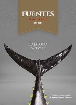 CATALOGO PRODOTTI - Gruppo Ricardo Fuentes Tradizione, fiducia e qualit&agrave;