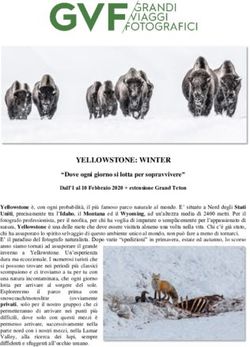 YELLOWSTONE: WINTER - Grandi Viaggi Fotografici