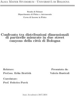 Confronto tra distribuzioni dimensionali di particelle misurate in due street canyons della citt'a di Bologna