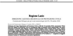 Regione Lazio DIREZIONE AGENZIA REGIONALE DI PROTEZIONE CIVILE