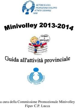 A cura della Commissione Promozionale Minivolley Fipav C.P. Lucca
