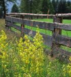 Escursioni tutta natura in Alto Adige - Piacevoli camminate in paesaggi protetti - Geyrerhof