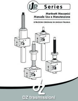 Martinetti Meccanici Manuale Uso e Manutenzione - ISTRUZIONI ORIGINALI IN LINGUA ITALIANA - DZ ...