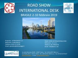 ROAD SHOW INTERNATIONAL DESK - BRASILE 2-10 febbraio 2019