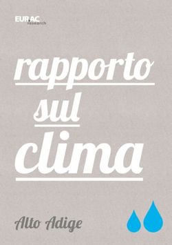 Rapporto sul - Alto Adige - EURAC research