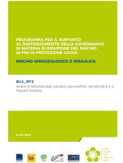 Analisi di fattibilità degli indicatori come definiti nell'attività A.1.1, B11_RT3 - Dipartimento Protezione Civile