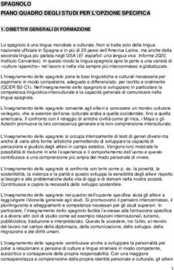 SPAGNOLO PIANO QUADRO DEGLI STUDI PER L'OPZIONE SPECIFICA