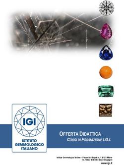OFFERTA DIDATTICA CORSI DI FORMAZIONE I.G.I - Istituto Gemmologico ...