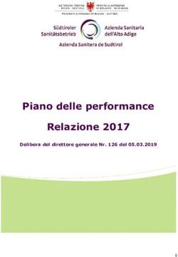 Piano delle performance Relazione 2017 - Delibera del direttore generale Nr. 126 del 05.03.2019
