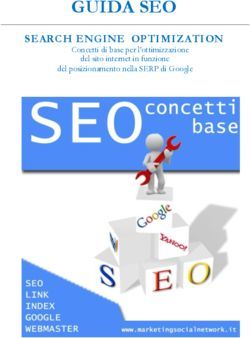 GUIDA SEO SEARCH ENGINE OPTIMIZATION - Concetti di base per l'ottimizzazione del sito internet in funzione - Massimo Petrucci