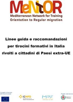 Linee guida e raccomandazioni per tirocini formativi in Italia rivolti a cittadini di Paesi extra-UE - Mentor