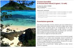 Crociera Grenadine St.Vincent/Union Island (13 giorni / 12 notti)