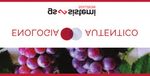 Aiutare le imprese vitivinicole a lavorare meglio: la mission di GS Sistemi per il comparto enologico