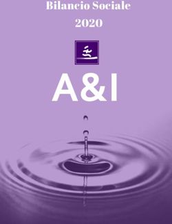 A&I - Bilancio Sociale 2020 - AEI