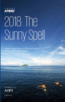 2018: The Sunny Spell - Italian Private Equity and Venture Capital Market: 2018 performance - assets.kpmg