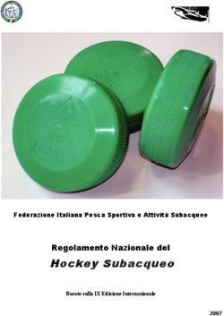 Hockey Subacqueo Regolamento Nazionale del 2007