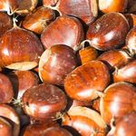 ENOGASTRONOMIA ANTIPASTI - PRIMI-SECONDI - PRELIBATEZZE - Pontedilegno-Tonale