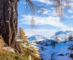 Bollettino - Societ&agrave; Alpinisti Tridentini