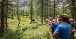 Bollettino - Societ&agrave; Alpinisti Tridentini