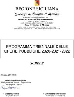 PROGRAMMA TRIENNALE DELLE - Consorzio di Bonifica 11 Messina