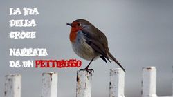 LA VIA DELLA CROCE narrata da un pettirosso