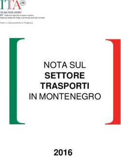 SETTORE TRASPORTI NOTA SUL 2016 - ICE