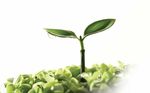 FORMAZIONE SUPPLEMENTARE E SUPPORTO TECNICO