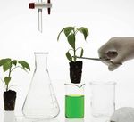 FORMAZIONE SUPPLEMENTARE E SUPPORTO TECNICO